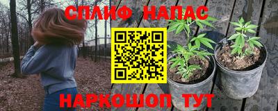 гашик Заволжье