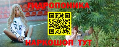гашик Заволжье