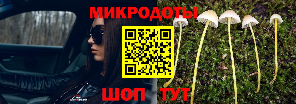 Псилоцибиновые грибы Psilocybine cubensis Курчалой