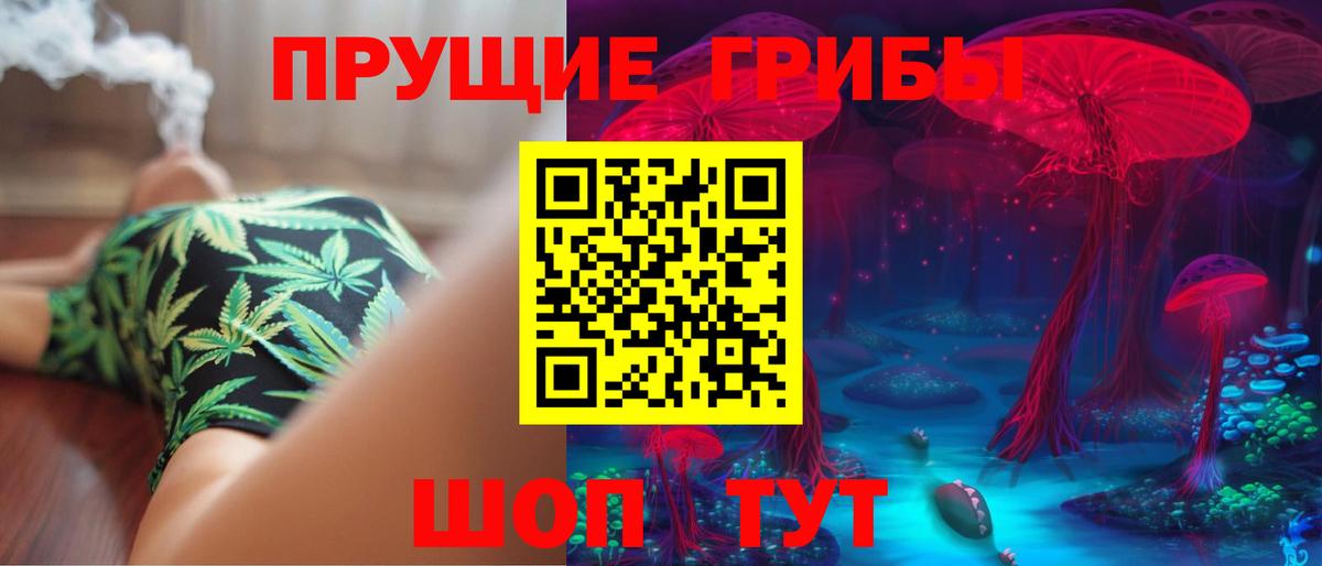 Псилоцибиновые грибы ЛСД  наркотики  Курчалой  Вход с VPN 